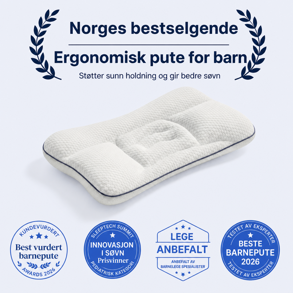 NordForm Posture Pillow