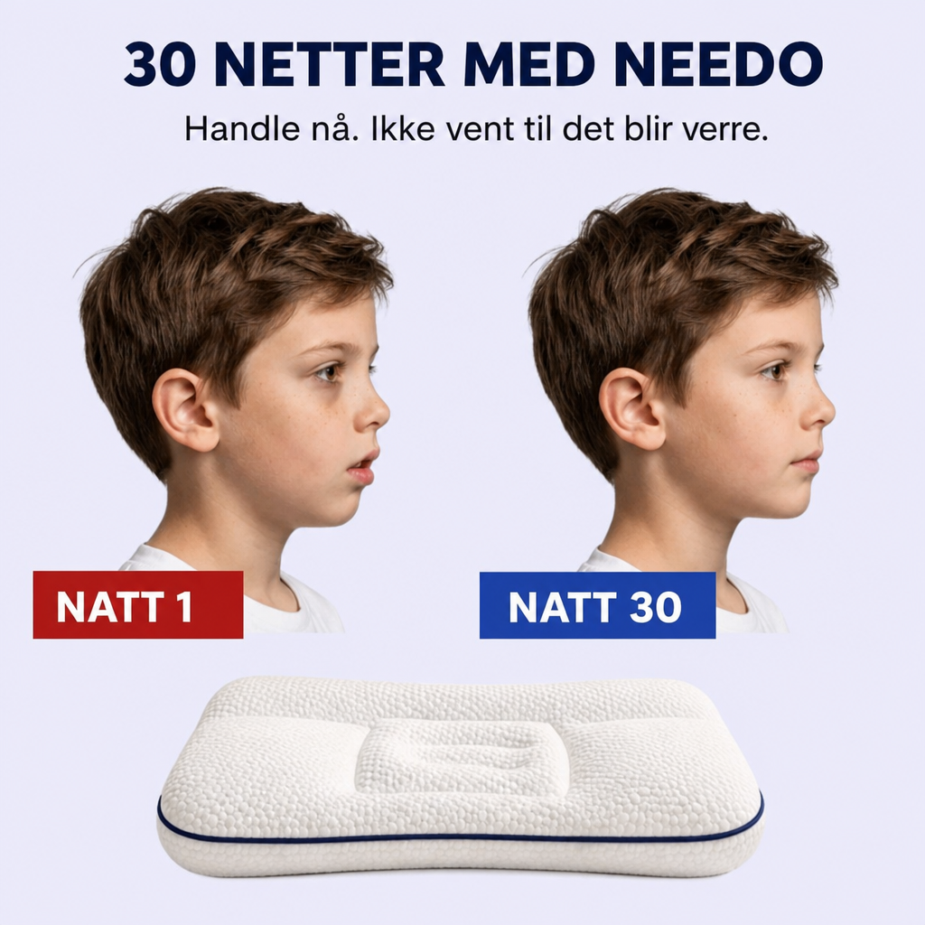 NordForm Posture Pillow