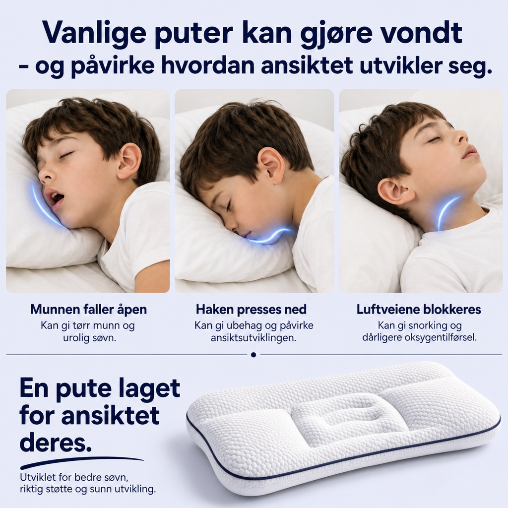 NordForm Posture Pillow