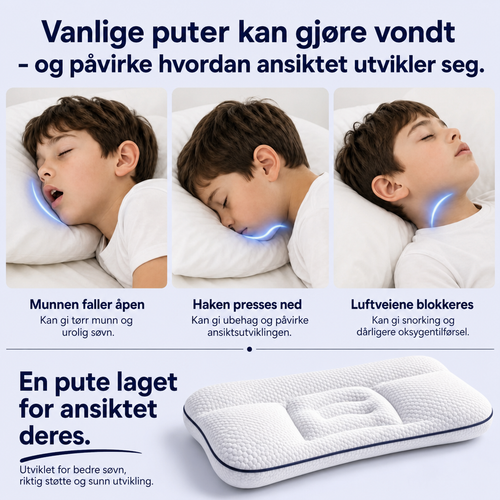 NordForm Posture Pillow